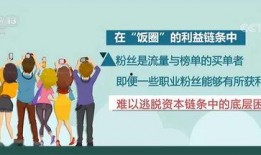 社会热点ppt 体育圈饭圈,热度与争议并存的社会热点解析