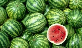 今日吃瓜在哪下载